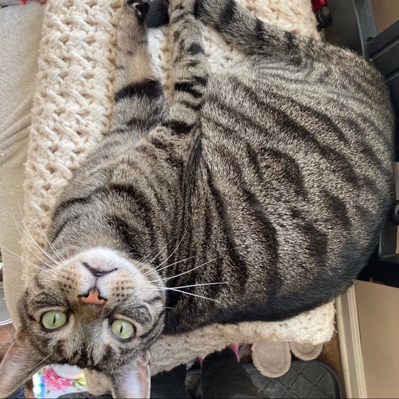 I’m Tonya K - TKinNJ’s closet. Welcome!! - Picture 11 of 13